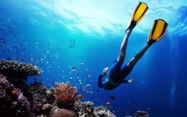 海滩宾馆逃生