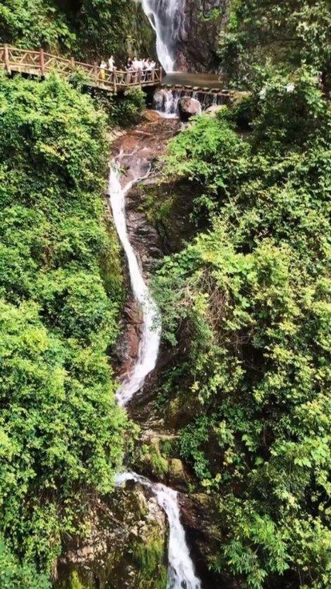 救援受困的萌兔
