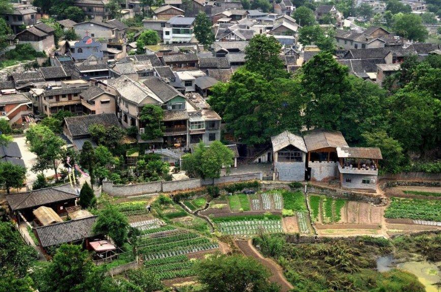 独步竹林